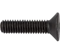 Винт ЦКИ Глобал DIN 7991, М3x12 10.9, окс., HEX2, 250 шт. 6741