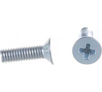 Винт ЦКИ Глобал DIN965 М3х10 Ц 2000 шт. 2170
