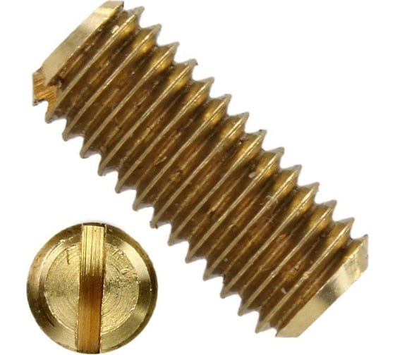 Установочный винт ЦКИ DIN 551, М6x6, ЛАТ., 50 шт. 75139 1