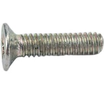 Винт ЦКИ Глобал DIN965 М2x8 Ц Ph1 500 шт. 6856