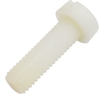 Винт ЦКИ Глобал DIN 84, М8x25, полиамид, SL12x2, 20 шт. 56171