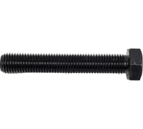 Болт ЦКИ Глобал DIN933 М20х120 10.9 ОКС 5 шт. 57876