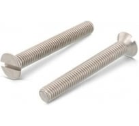 Винт ЦКИ Глобал DIN963 М2x10, Ц, SL 3.0x0.5, 100 шт. 7048