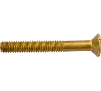 Винт латунный ЦКИ Глобал DIN 965, М4х30 Ph2, уп. 50 шт. 63612