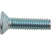 Винт ЦКИ Глобал DIN965 М2.5х10 Ц 2000 шт. 1455