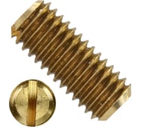 Установочный винт ЦКИ DIN 551, М10x16, ЛАТ., 20 шт. 75061