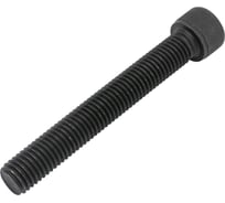 Винт ЦКИ Глобал DIN912 М14х100, 12.9 окс. HEX 12 аналог ГОСТ 11738-84 уп. 15 шт. 63309