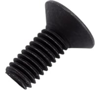 Винт ЦКИ Глобал DIN7991 М4х10, 10.9 окс. HEX 2.5 уп. 500 шт. 63105