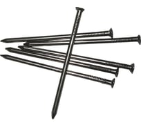 Строительные гвозди, цинк, 5х150 мм, ГОСТ 4028-63, РМЗ, 5 кг (SM-15305-5) STARFIX ЦЗ-4072884771