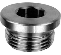 Пробка ОПМ DIN 908 М22х1,5 5.8 25 шт УТ000013932