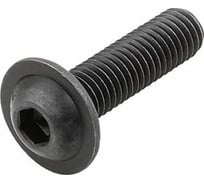 Винт ОПМ ISO 7380-2 М5х16 010.9 black flZnnc-480h 100 шт УТ000144338