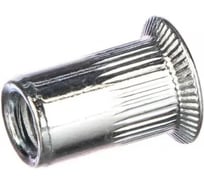 Заклепка-гайка ОПМ 110007 М12х24 zn с потайным бортиком РИФ CCS-M12-S 250 шт УТ000166062