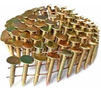 Гвозди кровельные BEA DPN (CRN) 31X25 NK кольцевые (оцинкованные) в упаковке 5760 шт. 37100429