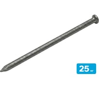 Гвоздь строительный SEBMET 2,5х60 мм (упаковка 25 кг) TD023Г25060.25