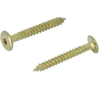 Мебельный шуруп ЦКИ Глобал 6.3x80, латунированный, HEX 4, 50 шт. 43907