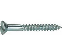 Шуруп ЦКИ Глобал DIN97 3x25 Ц 200 шт. 59196