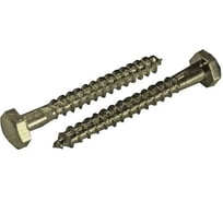 Сантехнический шуруп ЦКИ Глобал DIN571 8x25 Ц SW 13 20 шт. 3185