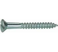 Шуруп ЦКИ Глобал DIN97, 4x25 мм, Ц, 50 шт. 54250