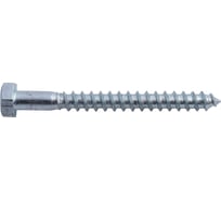 Сантехнический шуруп ЦКИ Глобал DIN 571, 12x200 мм, Ц, SW19, 10 шт. 3389