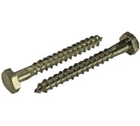 Сантехнический шуруп ЦКИ Глобал DIN 571, 10x80, A2, SW17, 25 шт. 74406