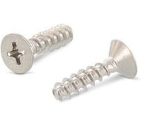 Саморез для пластика ЦКИ Глобал ART. 9090, потайн., притупленный, 3x12, A2, Ph1, 500 шт. 73298