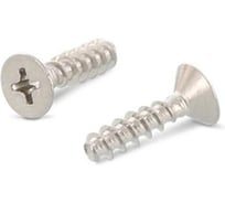 Саморез для пластика ЦКИ Глобал притупленный, ART.9090 4x10 мм, А2, 100 шт. 80586