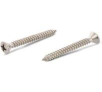 Саморез ЦКИ Глобал DIN7983 5.5x13 остроконечный A2 100 шт. 82920