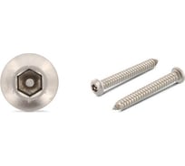 Антивандальный саморез ЦКИ Глобал ART.9110, 4.8x38, A2, HEX TR, 100 шт. 73232