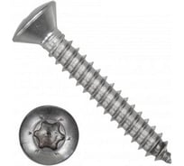 Саморез ЦКИ Глобал DIN 7983, 4.2x25, остроконечный, TORX, A2, 1000 шт. 73183