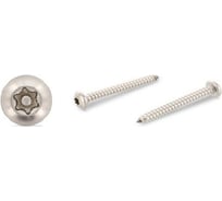 Антивандальный саморез ЦКИ Глобал ART.9120, DIN 7981, 4.2x32, A2, TX TR 15, 100 шт. 73250