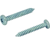 Саморез ЦКИ Глобал DIN7981 5.5х70 остроконечный Ц 250 шт. 12176