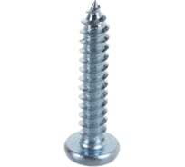 Саморез ЦКИ Глобал DIN7981 4.8х25 1000 шт. острый Ц 1681