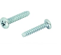 Саморез ЦКИ Глобал DIN 7981, 2.9x9.5, притупленный, A2, Ph1, 1000 шт. 73009