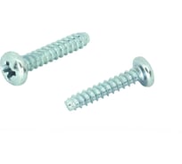 Саморез ЦКИ Глобал DIN 7981, 2.2х4.5 притупленный, Ц, Ph1, уп. 1000 шт. 64926