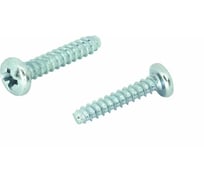 Саморез ЦКИ Глобал DIN7981 2.9x13 притупленный Ц Ph1 25000 шт 649309099