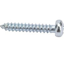 Саморез ЦКИ Глобал DIN7981 2.2х13 остроконечный Ц 2000 шт. 4518