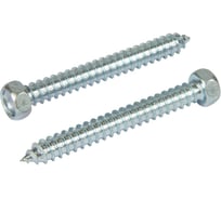 Саморез ЦКИ Глобал DIN 7976, 6.3х38 остроконечный, Ц, SW10, уп. 500 шт. 62030