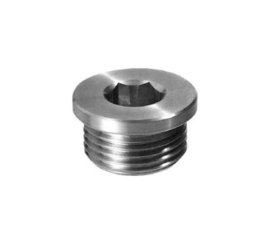 Пробка цилиндр. с буром ЦКИ Глобал DIN908, М12x1.5 мм, Ц, 2 шт. 85107