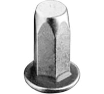 Заклепка-гайка ЦКИ Глобал м6x22, плоский, шестигранная, закрытая, сталь, цинк, rex, 20 шт. 75609