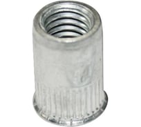 Заклепка-гайка ЦКИ Глобал м5, плоский уменьшенный, рифленый, сталь, цинк, bralo, 25 шт. 10943