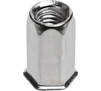 Заклепка-гайка ЦКИ Глобал М12x24 мм, плоская, уменьшенная, шестигранная СТ. Ц, под пакет 1.0-4.0 мм, 100 шт. 77552