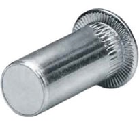 Заклепка-гайка ЦКИ Глобал М6, плоск., рифл., закрытая, Ст. Ц, E: 0.5-3.0 мм, REX, уп. 100 шт. 64536