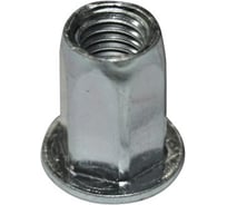 Заклепка-гайка ЦКИ Глобал М8x19.5, плоская, шестигранная, удлиненная, сталь Ц, BRALO E:3.0-5.5 мм, 25 шт. 31485