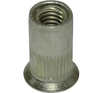 Заклепка-гайка ЦКИ Глобал М6, потайная, рифленая, сталь Ц, BRALO 25 шт. 11824
