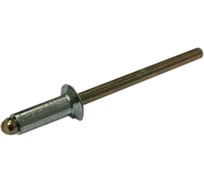 Заклепка тяговая ЦКИ Глобал Ст/Ст потайн. 4.8x8 BRALO 100 шт. 22733