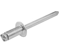 Тяговая заклепка ЦКИ Глобал Ст/Ст плоская, 5.0x10 REX 200 шт. 45299