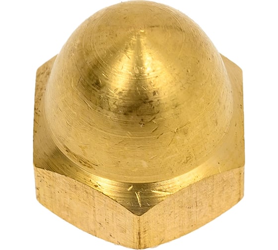 Колпачковая гайка ЦКИ Глобал DIN 1587, м10, латунь, sw17, 10 шт. 76818