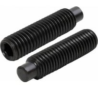 Установочный винт ЦКИ Глобал DIN915 М16x20 45H оксидированный, HEX 8.0, 2 шт. 41436