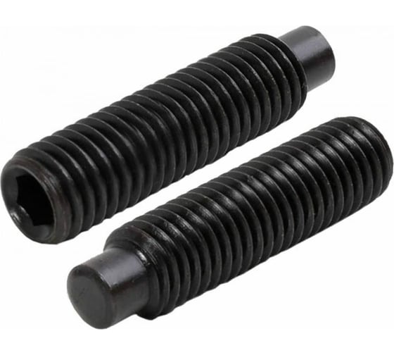 Установочный винт ЦКИ Глобал DIN915 М16x20 45H оксидированный, HEX 8.0, 2 шт. 41436