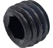 Установочный винт ЦКИ Глобал DIN913 М8x6 45H ОКС HEX4 200 шт. 11662